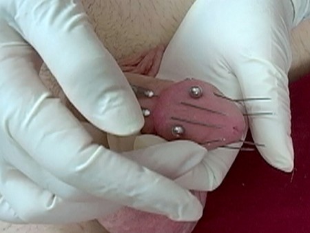 Fatal Femdom Movies - Needle Dick Part 2 Fatal Femdom Movies - Needle Dick Part 2