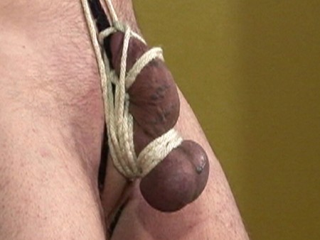 Fatal Femdom Movies - Snr Bind Whip Balls Fatal Femdom Movies - Snr Bind Whip Balls