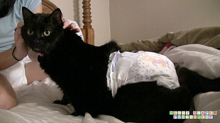 Lady Cat Gets Diapered