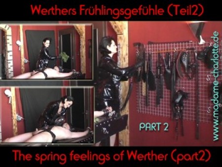 The Spring Feelings Of Werther  Part Ii