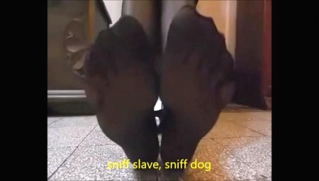 Mistress Mature Lady Angy - Lady Angy Order To You To Lick Her Feets Part1 Mistress Mature Lady Angy - Lady Angy Order To You To Lick Her Feets Part1
