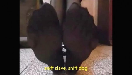 Mistress Mature Lady Angy - Lady Angy Order To You To Lick Her Feets Part1 Mistress Mature Lady Angy - Lady Angy Order To You To Lick Her Feets Part1