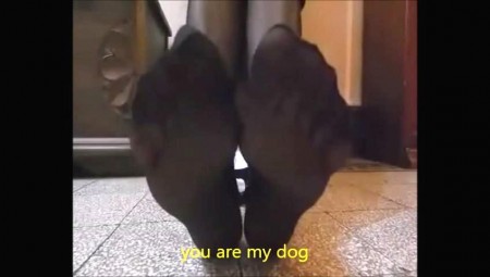 Mistress Mature Lady Angy - Lady Angy Order To You To Lick Her Feets Part1 Mistress Mature Lady Angy - Lady Angy Order To You To Lick Her Feets Part1